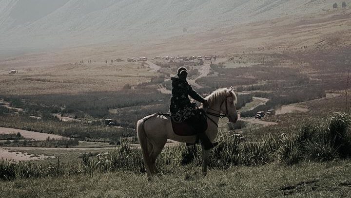 Savana Teletubbies Bromo — Bukit Savana eksotis di Private Trip Bromo